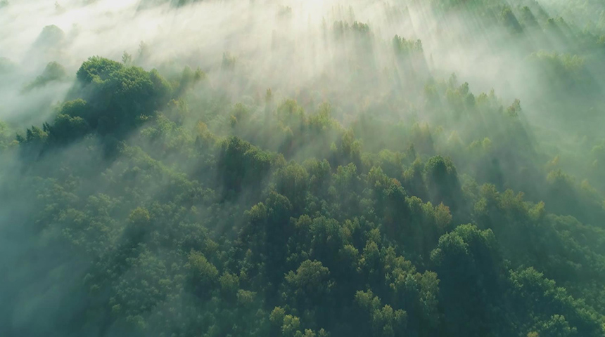 w66利来国际全屋定制宣传片