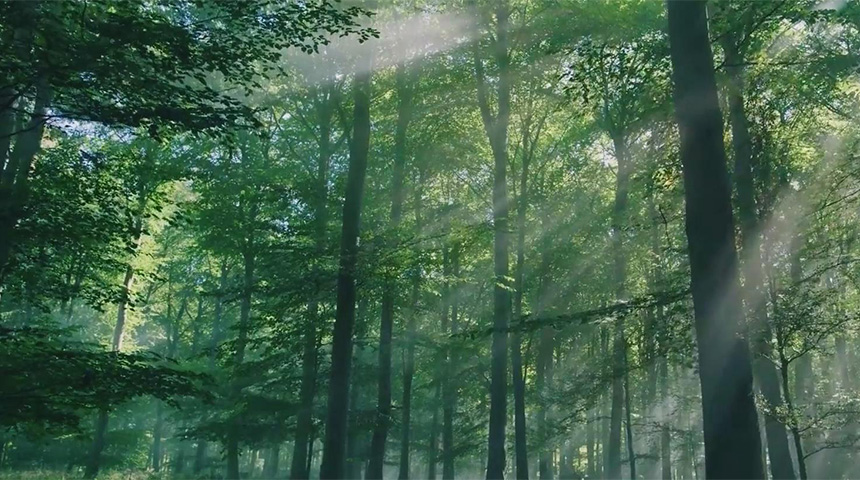 w66利来国际企业宣传片