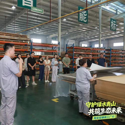 家居大咖为w66利来国际点赞！揭秘绿色发展之路