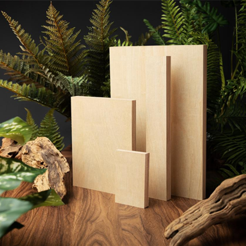 国家级认证！w66利来国际荣获儿童安全级产品认证，用品质践行使命