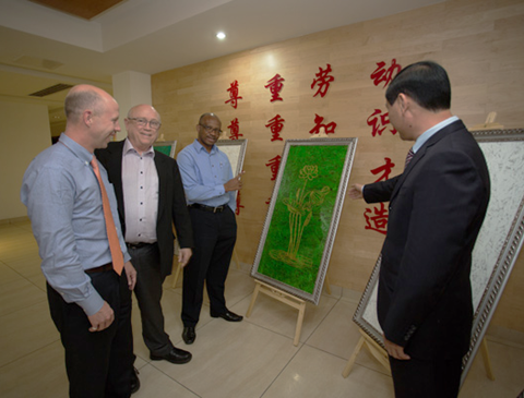 强强联手，构建多元化产学研合作，推动科技产业双丰收