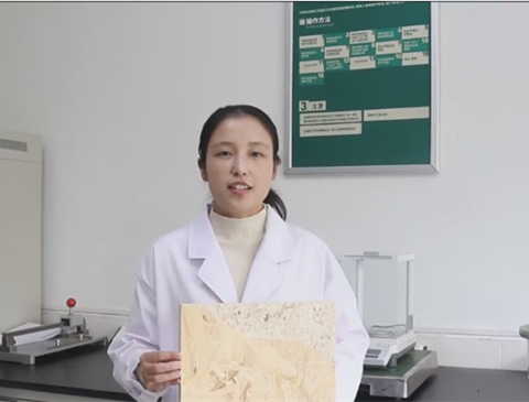 科研先锋|程明娟：创新性胶黏剂的研发与推广者