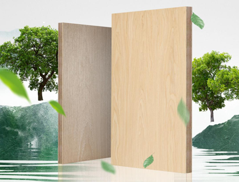 w66利来国际制定多项团体标准，推动行业规范化发展