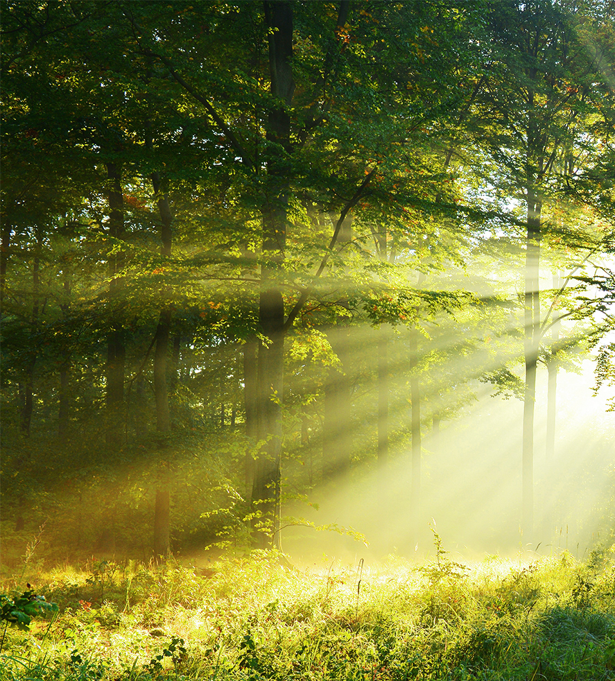 荣誉，来自认可